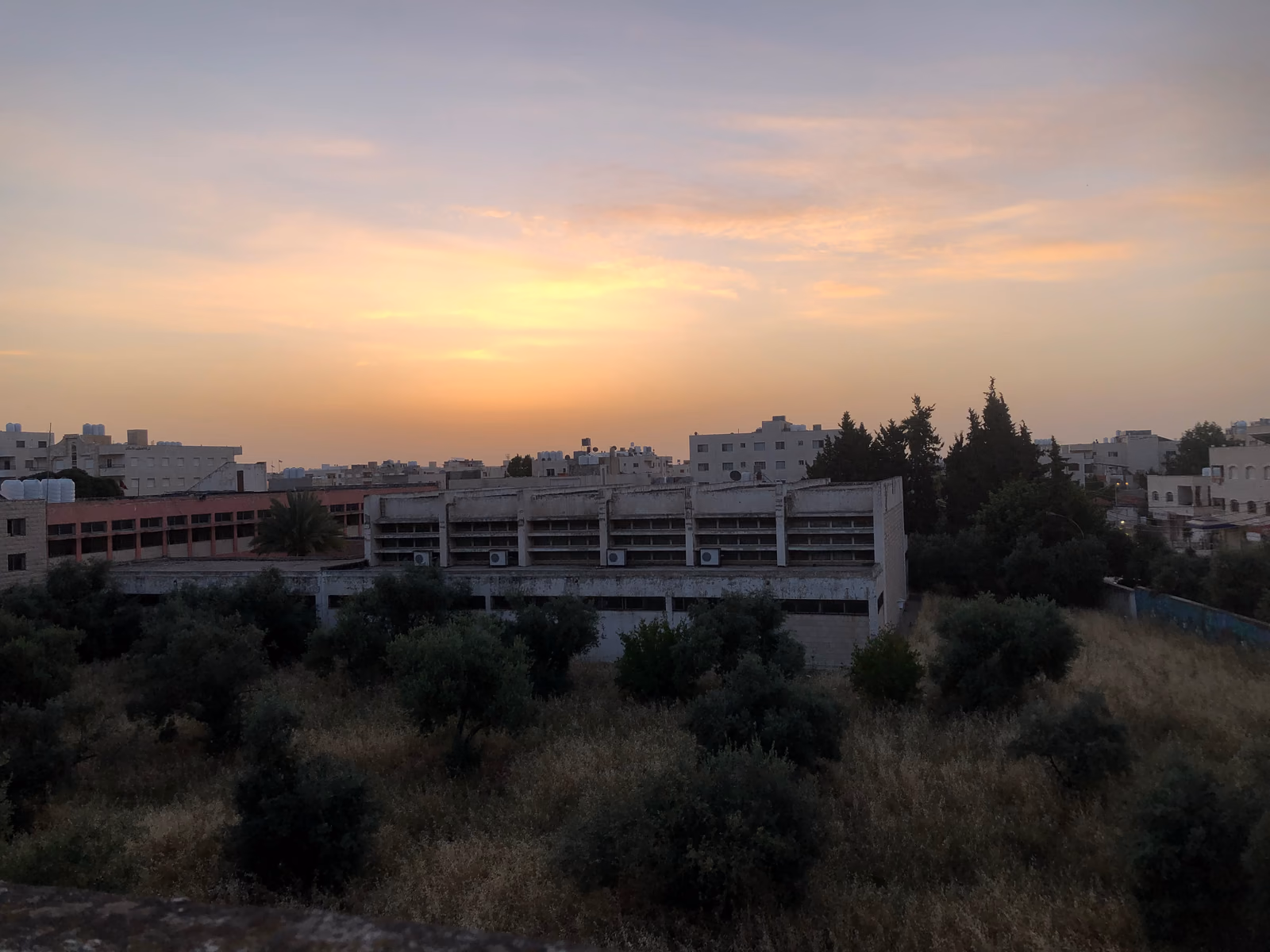 Irbid city