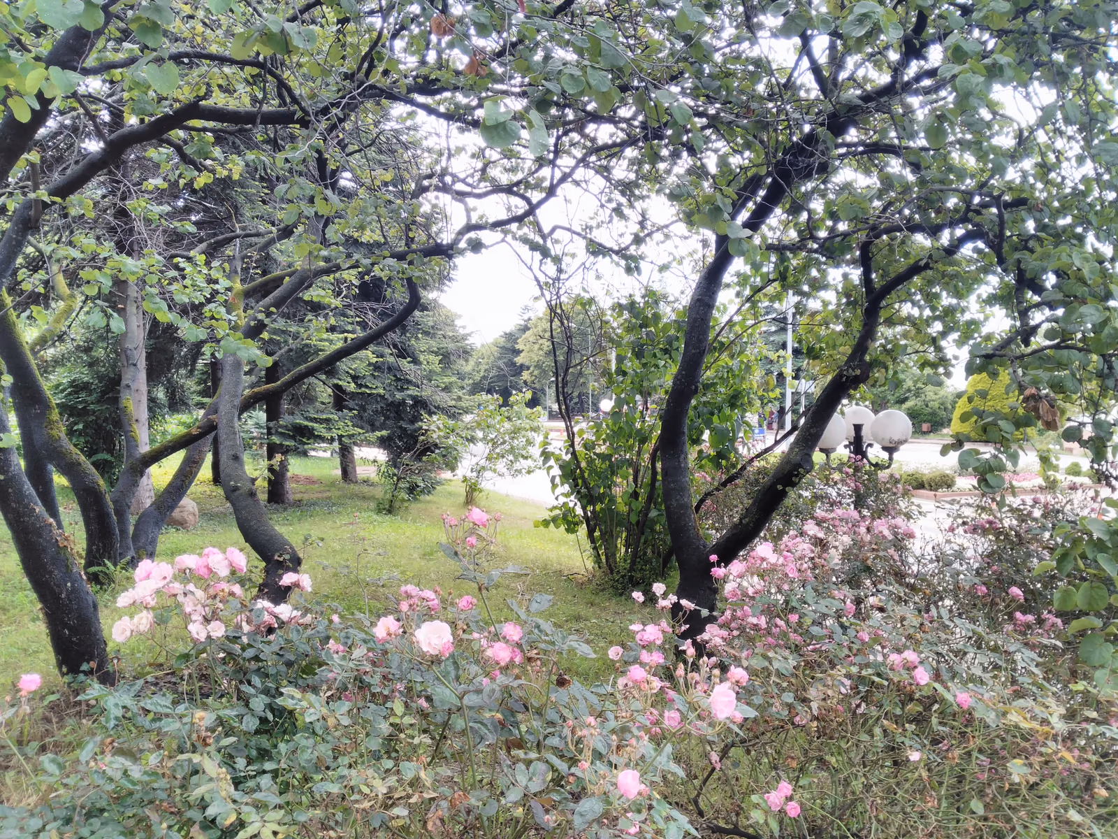 Main campus square and grounds at Karadeniz Technical University, Trabzon, Turkey